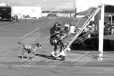 media/Feb-23-2025-2WTD (Sun) [[9604a77d5d]]/1-Around the Pits/